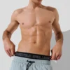 BOARDSHORTS IKON