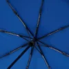 PARAPLUIE LOGO