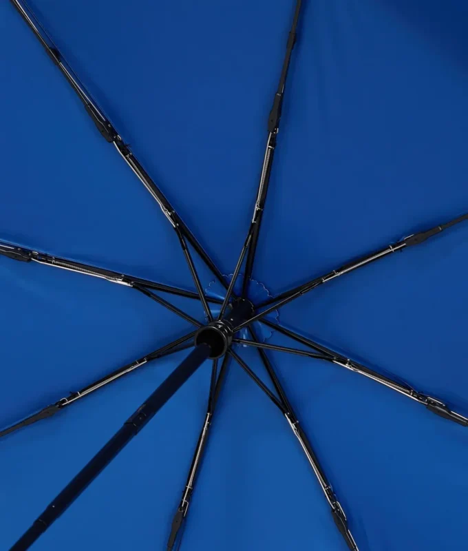PARAPLUIE LOGO